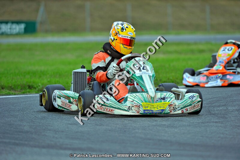 DSC_ (153).jpg